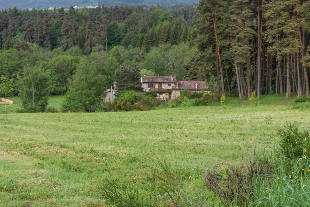 Moulin Des Comtes - Chambre Des Comtes Viverols Eksteriør billede